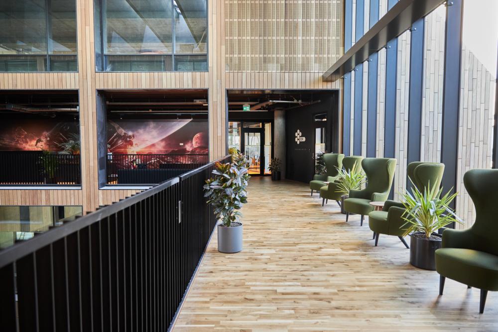 Oak - 2 strip Wooden flooring