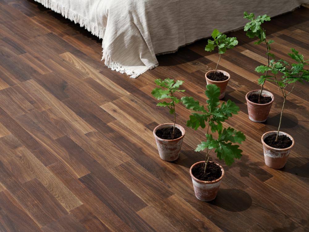 Black Oak - 2 strip Wooden flooring